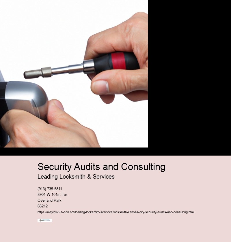 Security Audits and Consulting