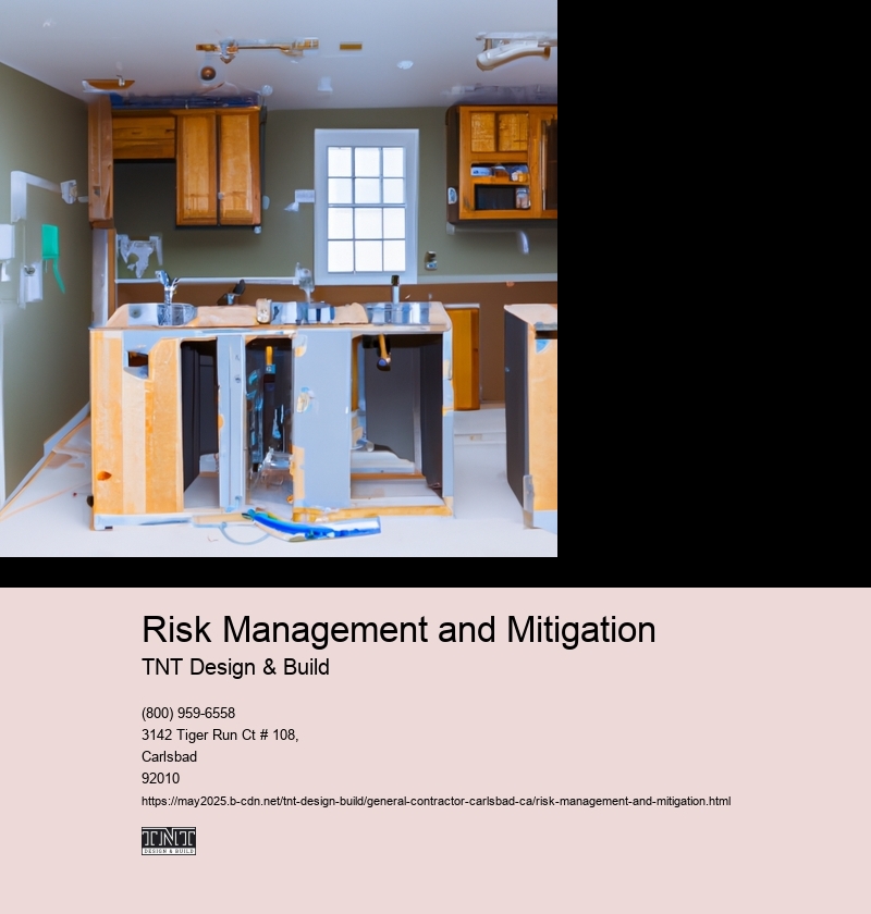 Risk Management and Mitigation
